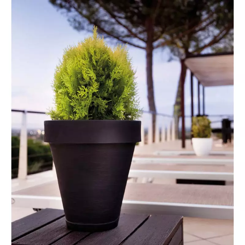 Maceta-Country-Round